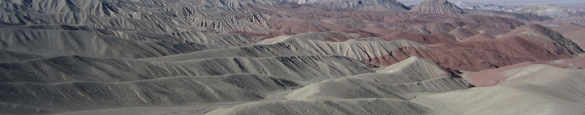 Chile - Alto Atacama - Paseos - Quimal