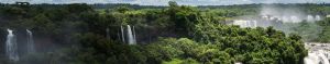 Rio - Foz Do Iguazú - Manaos - Salvador